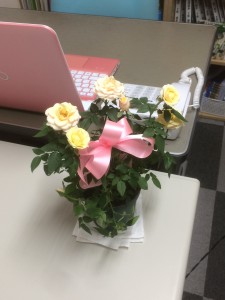 2015-10-24 16.38.11